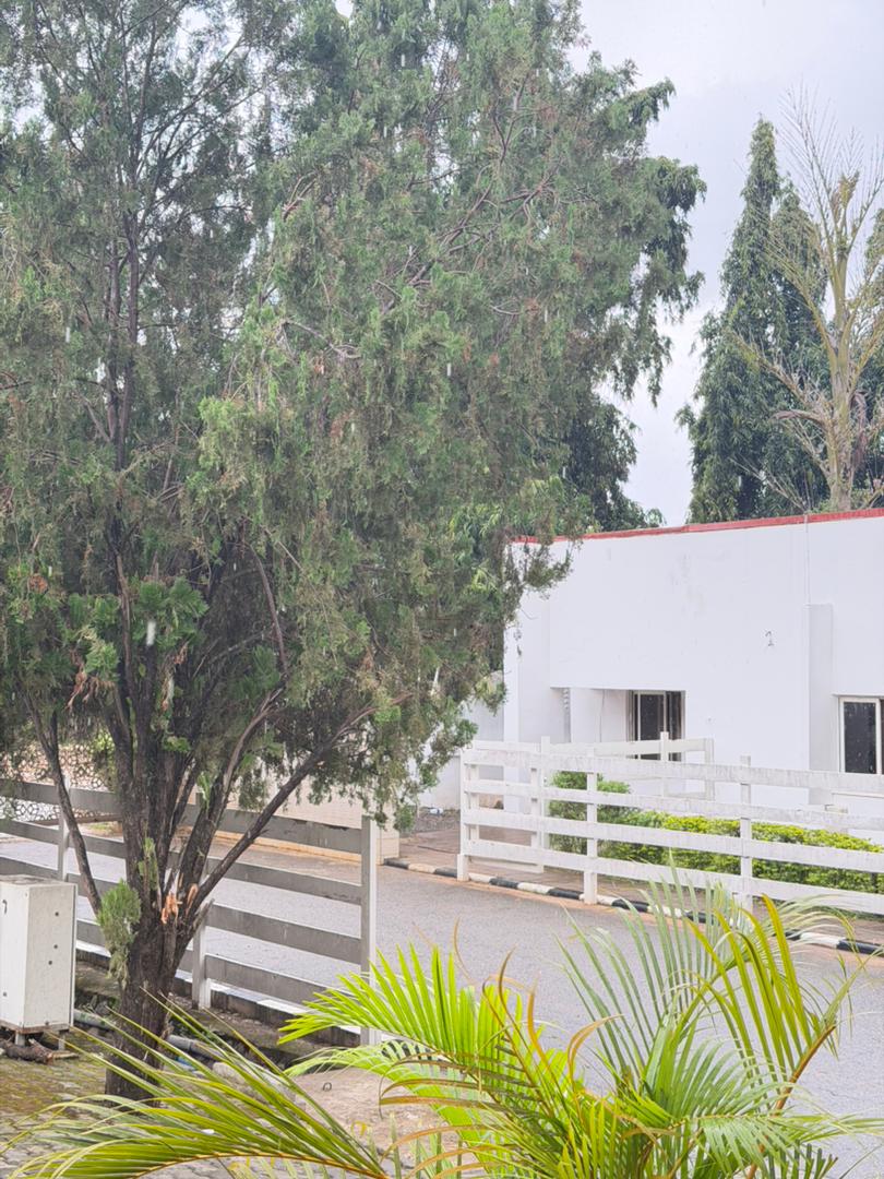 Grounds of the shared residence in Apo Legislative Quarters with trees and secure fencing