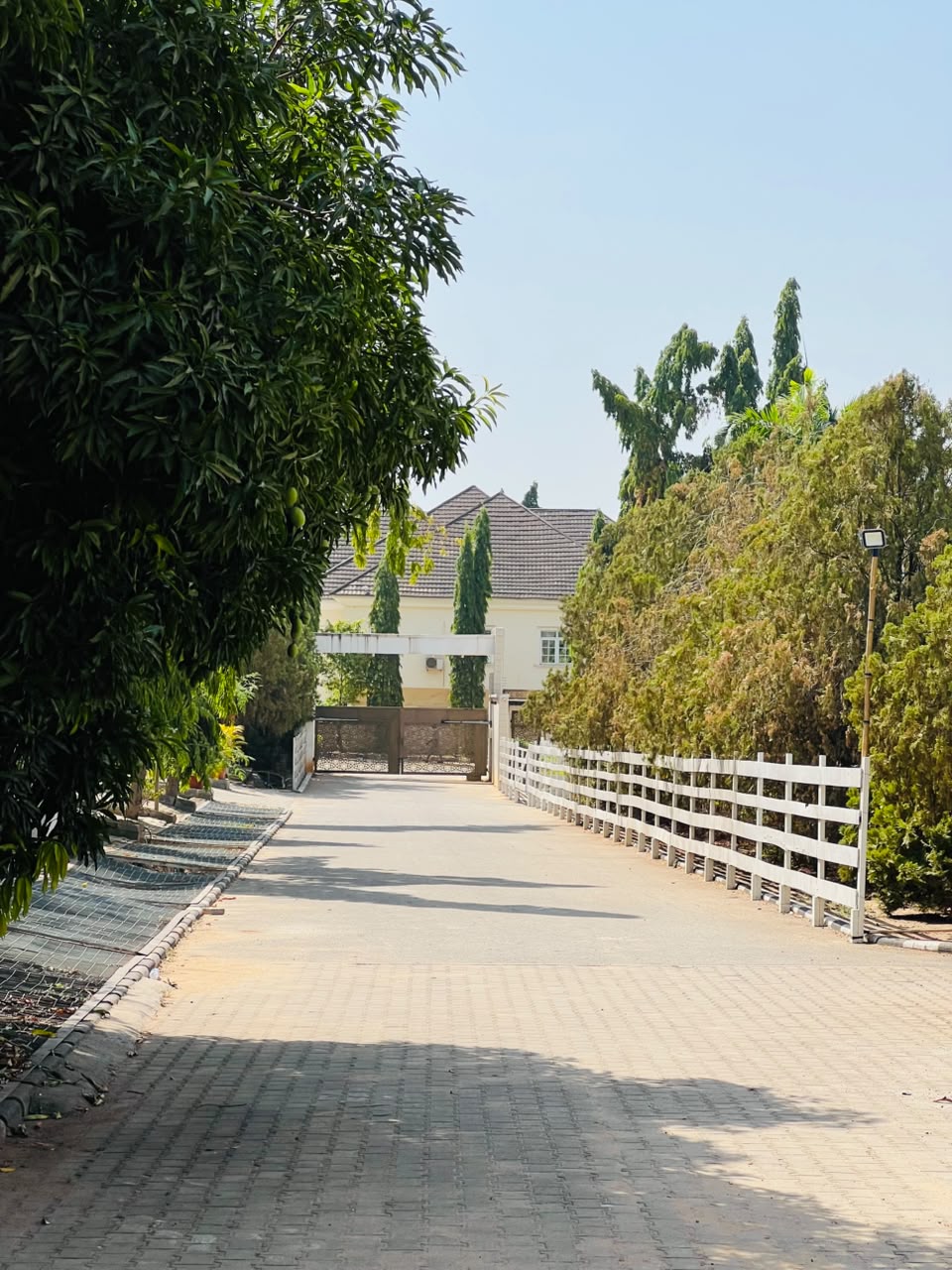 Tree-lined driveway approaching the gated Aston shared residence in Apo Legislative Quarters, Abuja